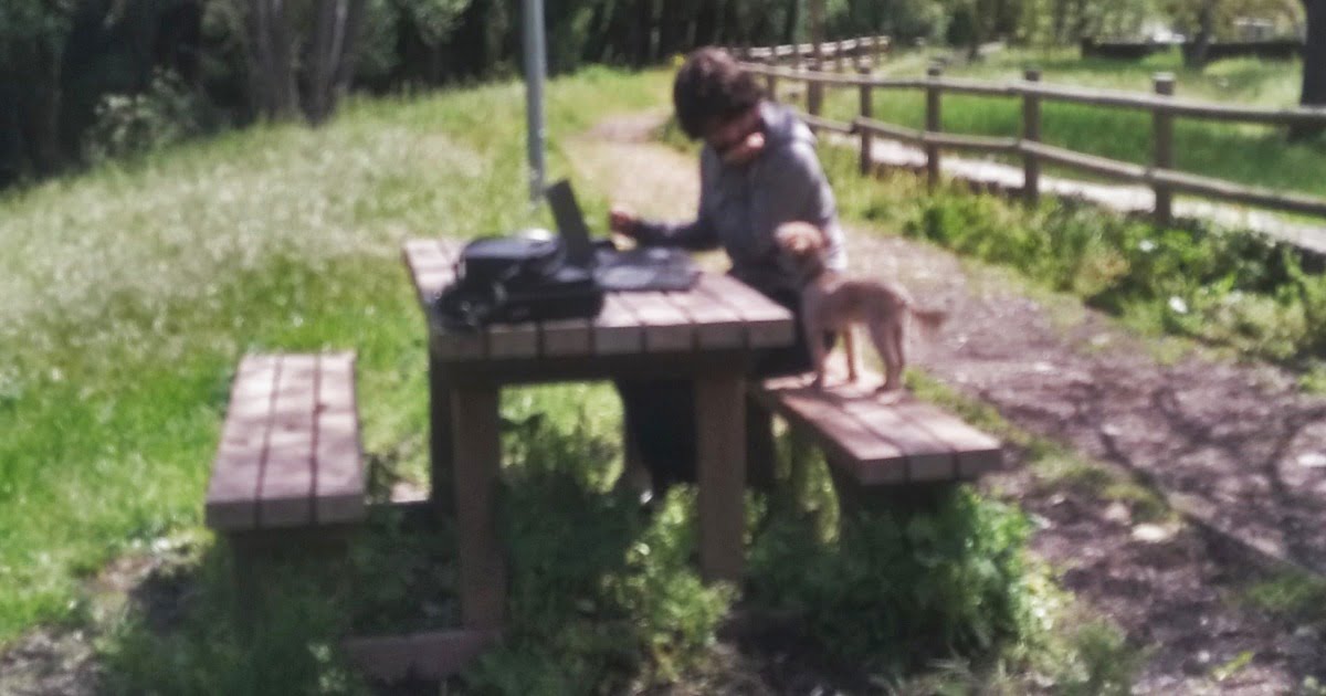 Working at the park
